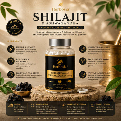 Gélules Shilajit & Ashwagandha