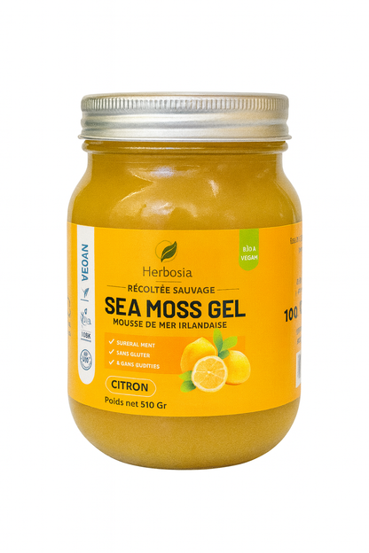 Gel de Sea Moss – Arôme Naturel Citron