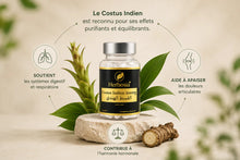 Costus Indien Gélules