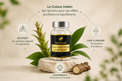 Costus Indien Gélules