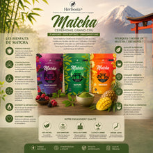 Matcha Cérémonie Grand Cru – Herbosia® (Nature • Fruits Rouges • Exotique)