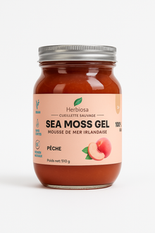 Gel de Sea Moss – Arôme Naturel Pêche